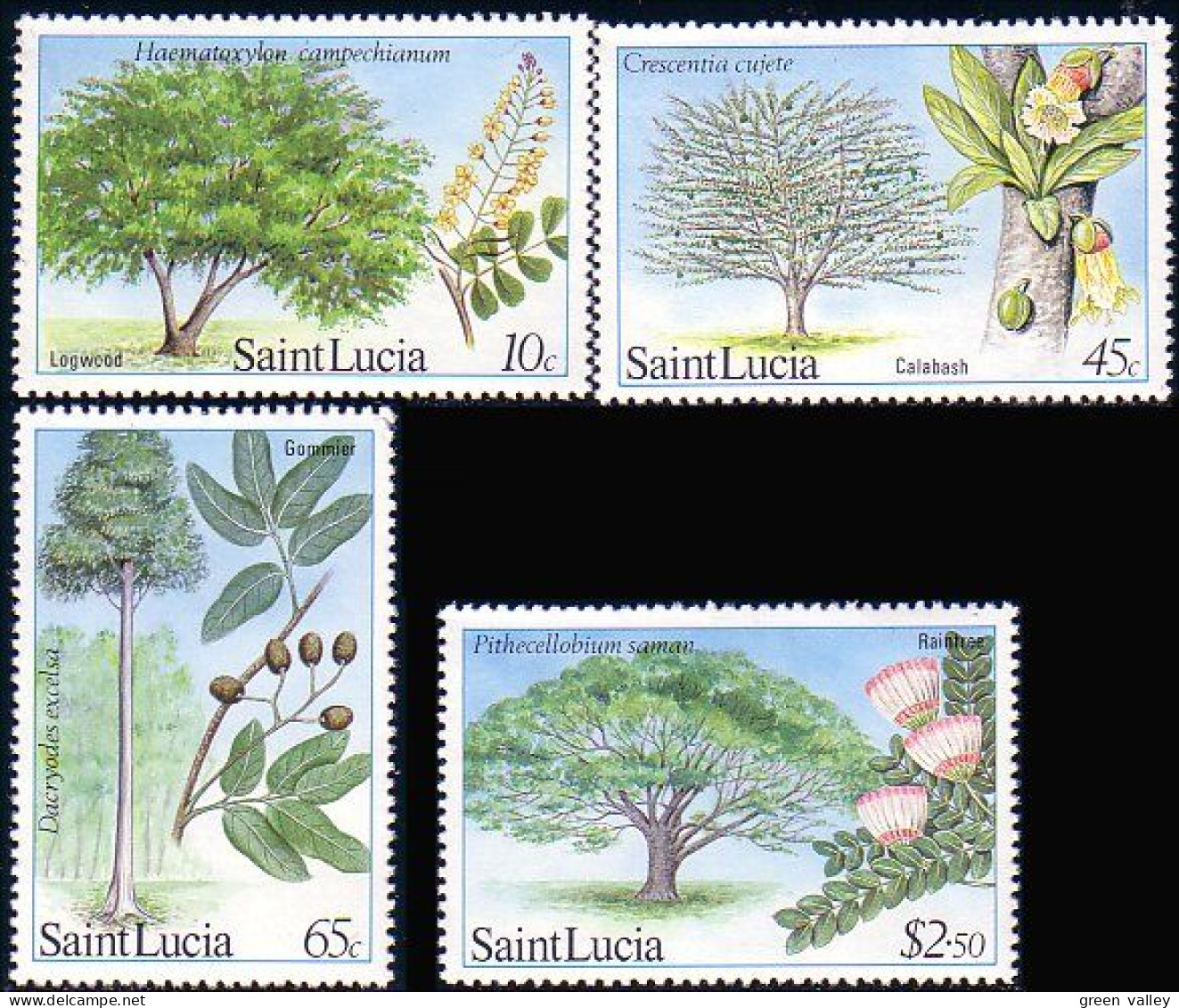 580 Saint Lucia Arbres Trees Logwood MNH ** Neuf SC (LUC-15b) - Trees