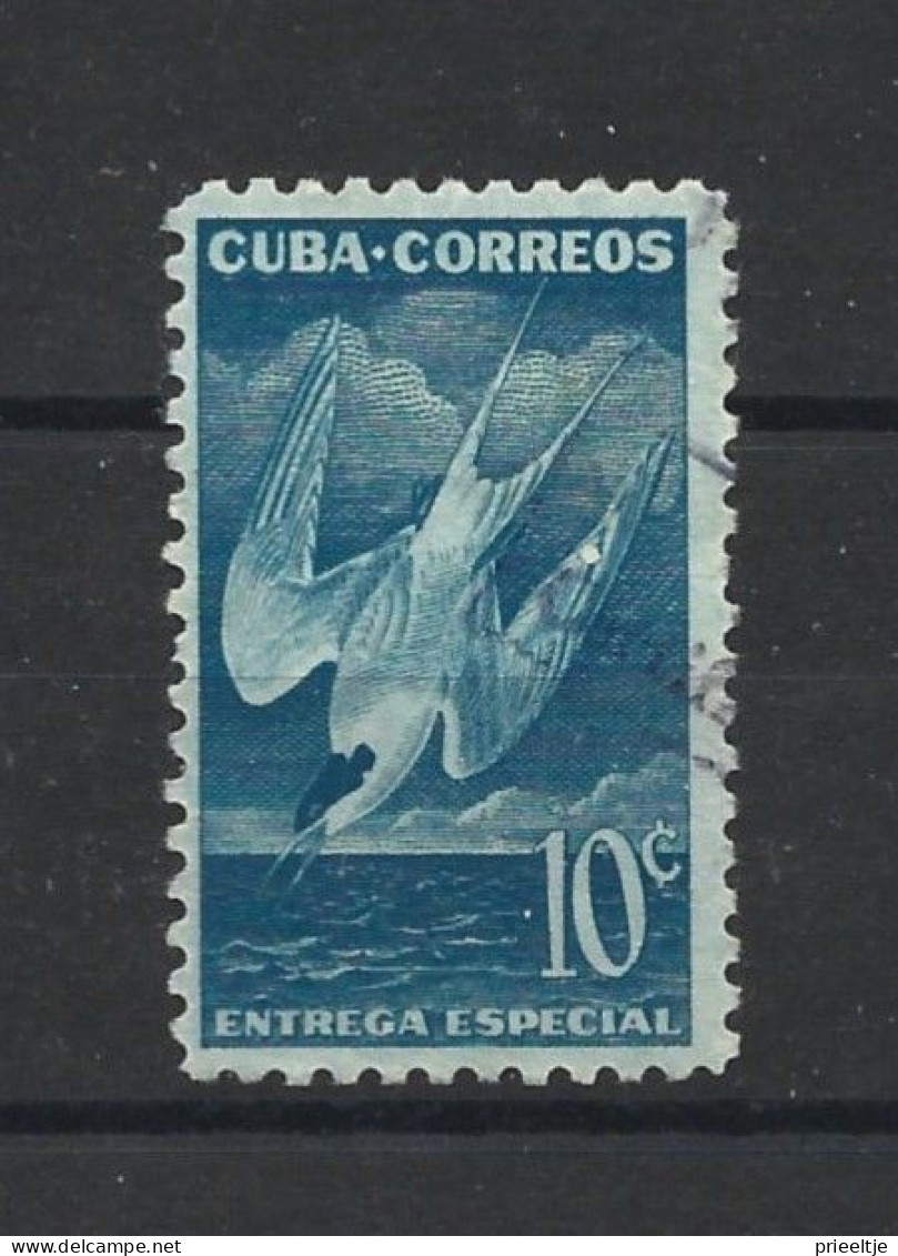 Cuba 1953 Birds Y.T. Express 17 (0) - Francobolli Per Espresso