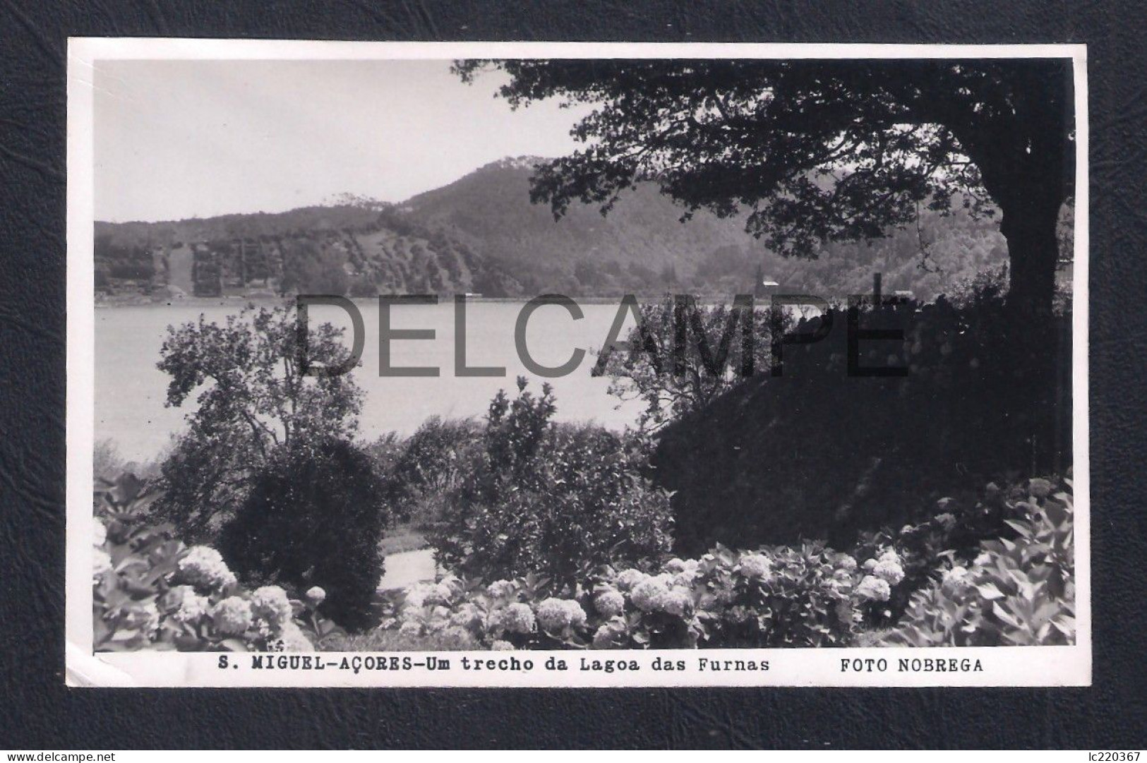 REAL PHOTO POSTCARD PORTUGAL AÇORES S. MIGUEL - UM TRECHO DA LAGOA DAS FURNAS - FOTO NOBREGA - 1950'S - Açores