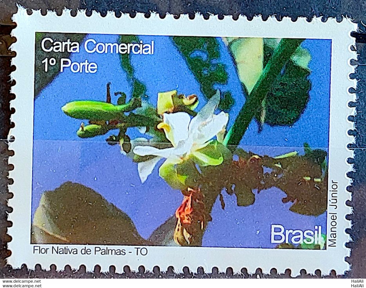 C 2808 Brazil Depersonalized Stamp Tocantins Tourism 2009 Flor Nativa De Palmas - Personnalisés
