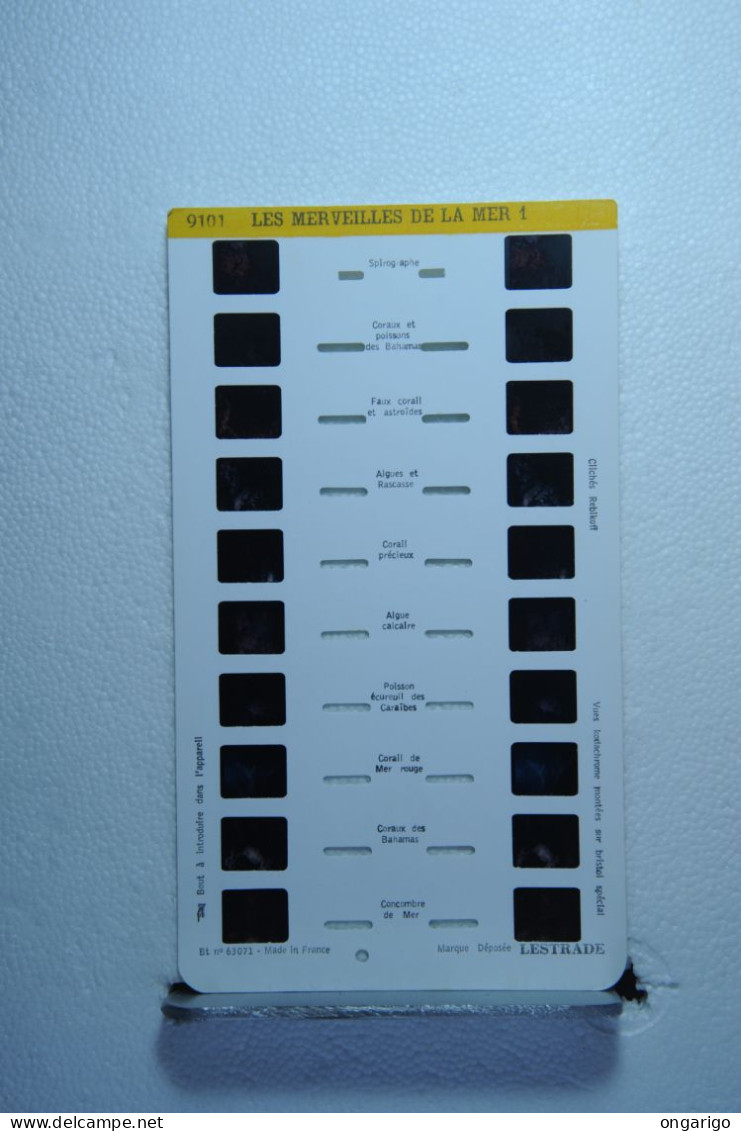 LESTRADE :    9101   LES MERVEILLES DE LA MER   N°1 - Visionneuses Stéréoscopiques