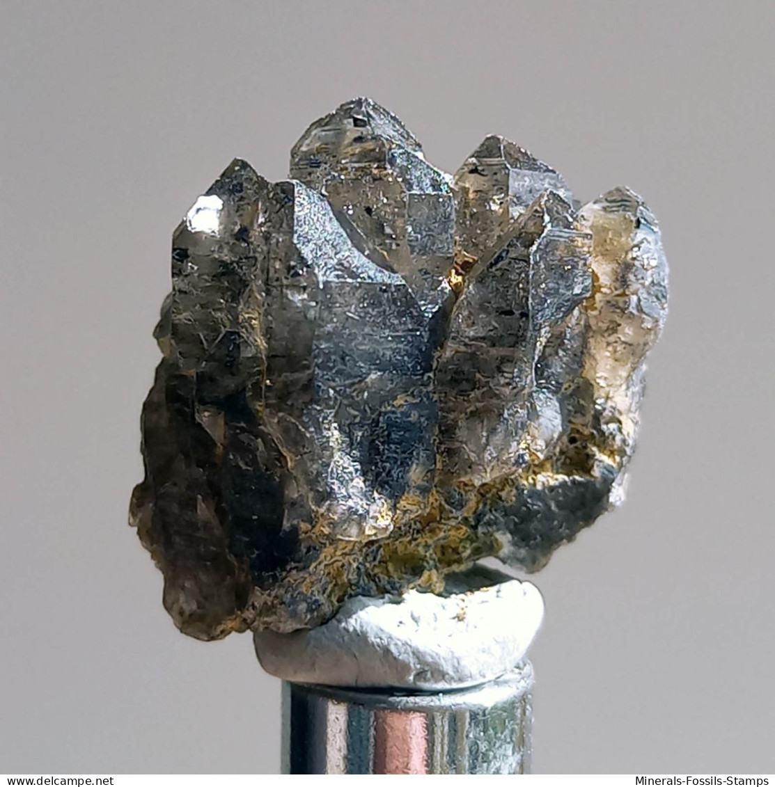 #T22 - Ungewöhnliche RAUCHQUARZ Kristalle (Victoria, Australien) - Mineralien