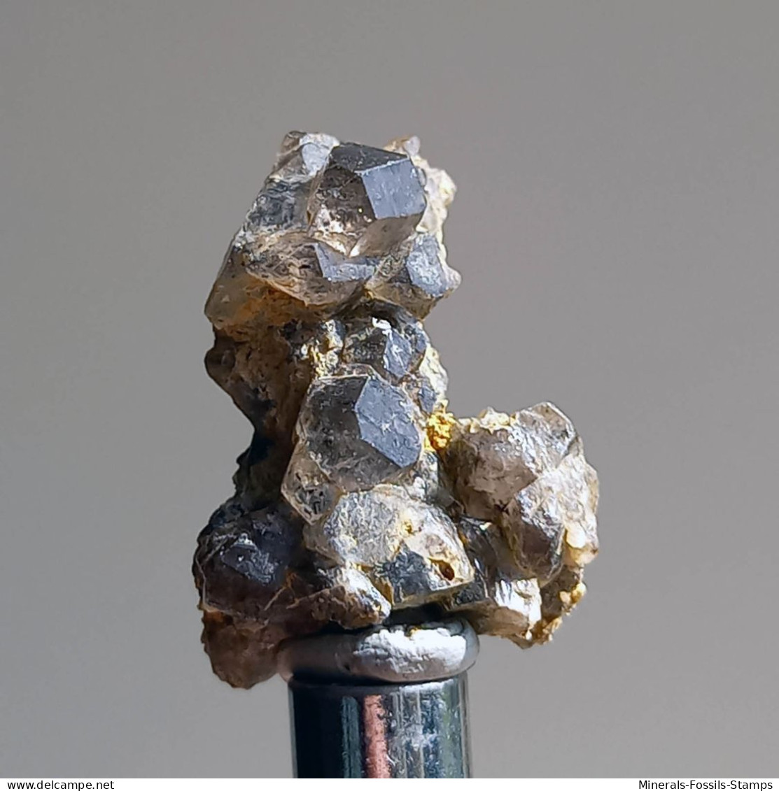 #T22 - Ungewöhnliche RAUCHQUARZ Kristalle (Victoria, Australien) - Minerals