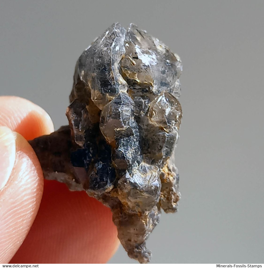 #T23 - Ungewöhnliche RAUCHQUARZ Kristalle (Victoria, Australien) - Mineralien