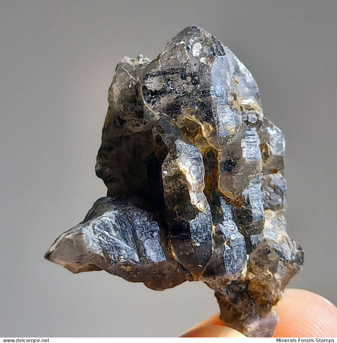 #T23 - Ungewöhnliche RAUCHQUARZ Kristalle (Victoria, Australien) - Mineralien