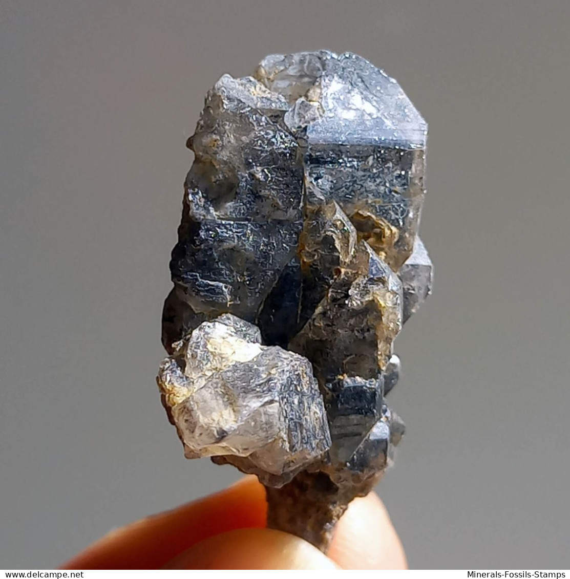 #T23 - Ungewöhnliche RAUCHQUARZ Kristalle (Victoria, Australien) - Mineralen