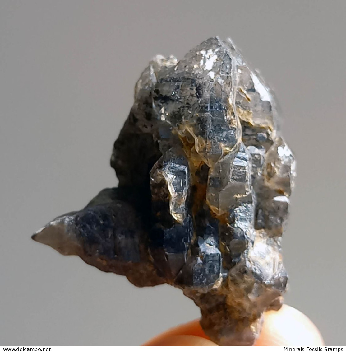 #T23 - Ungewöhnliche RAUCHQUARZ Kristalle (Victoria, Australien) - Mineralien