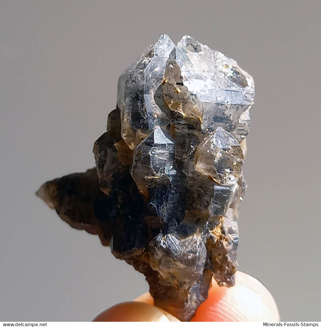 #T23 - Ungewöhnliche RAUCHQUARZ Kristalle (Victoria, Australien) - Mineralien