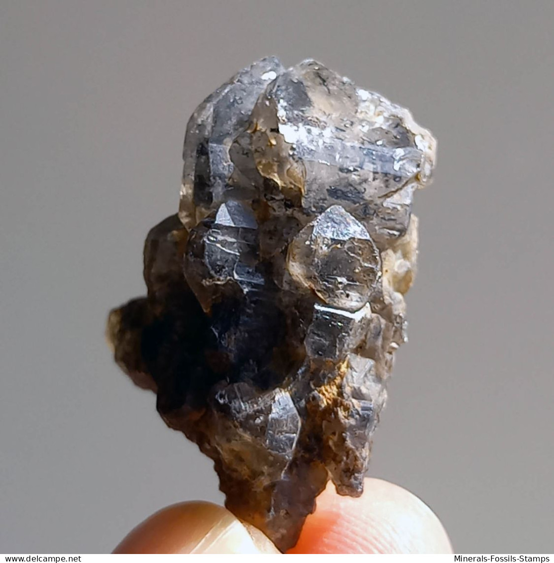 #T23 - Ungewöhnliche RAUCHQUARZ Kristalle (Victoria, Australien) - Mineralen