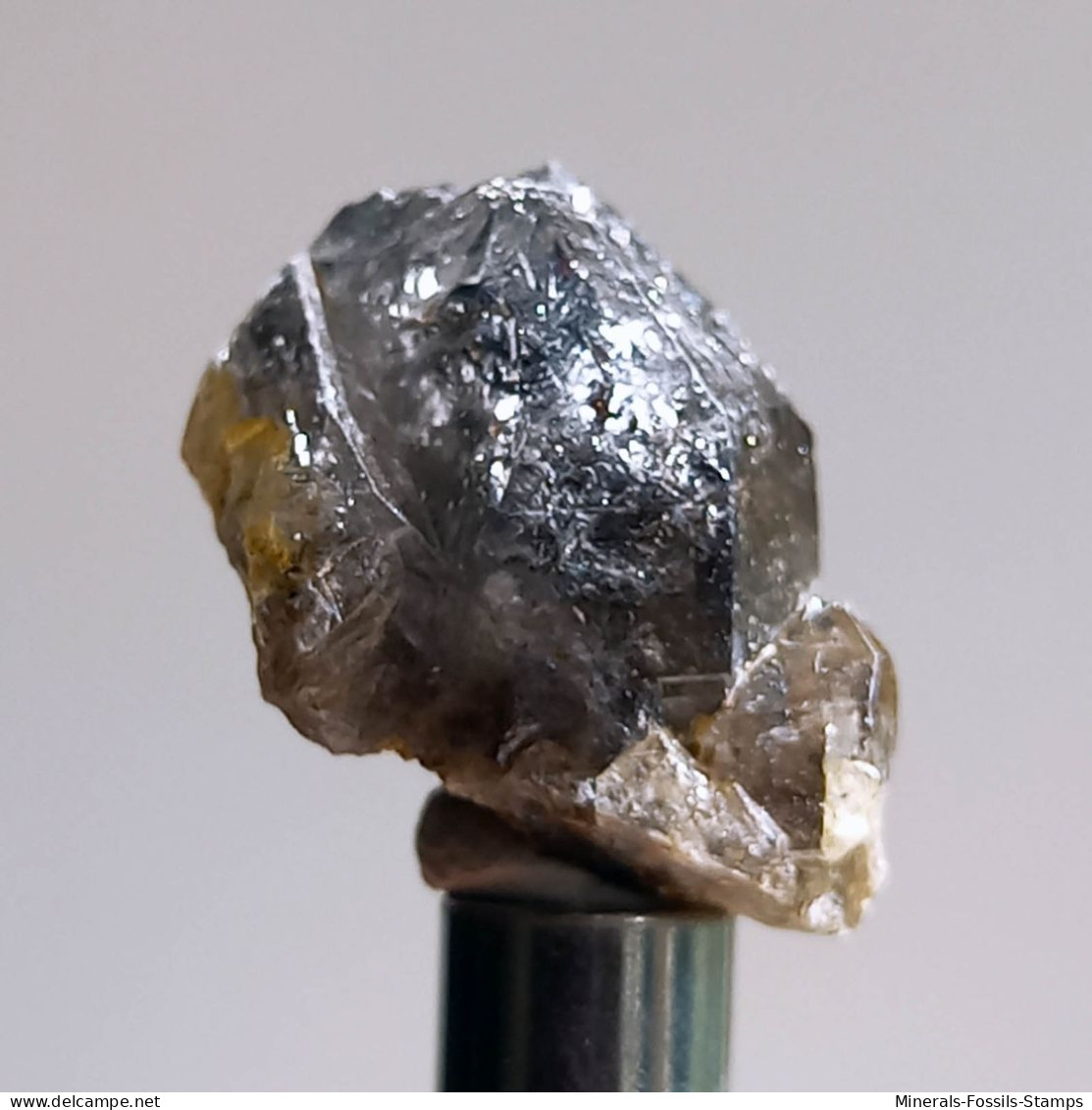 #T24 - Ungewöhnliche RAUCHQUARZ Kristalle (Victoria, Australien) - Mineralien