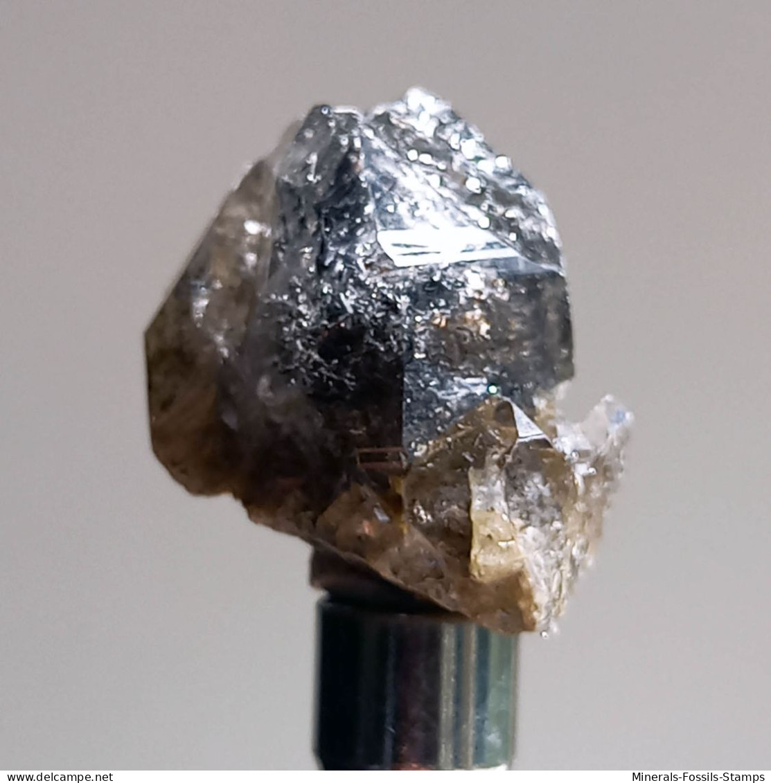 #T24 - Ungewöhnliche RAUCHQUARZ Kristalle (Victoria, Australien) - Mineralien