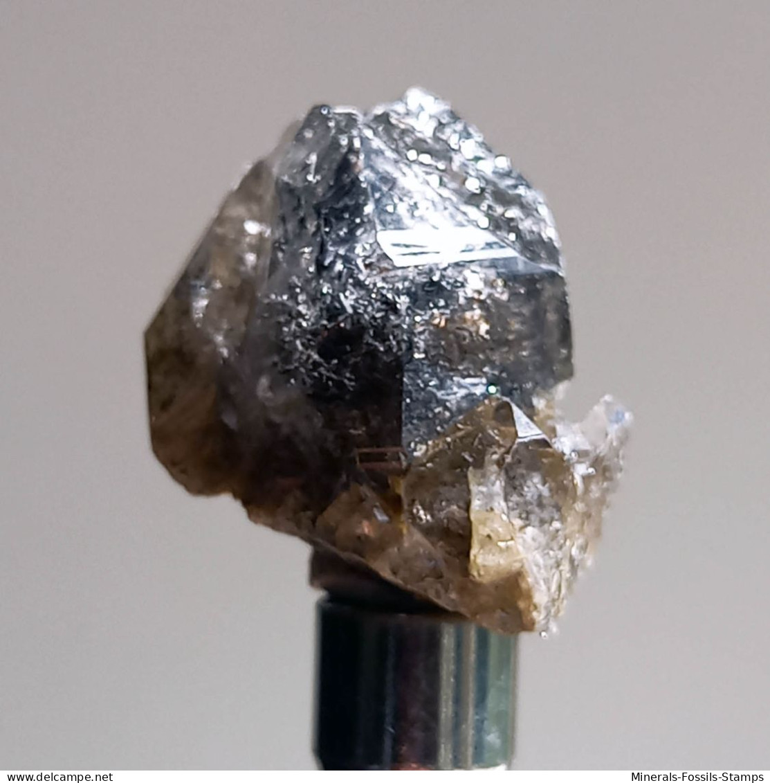 #T24 - Ungewöhnliche RAUCHQUARZ Kristalle (Victoria, Australien) - Minerales