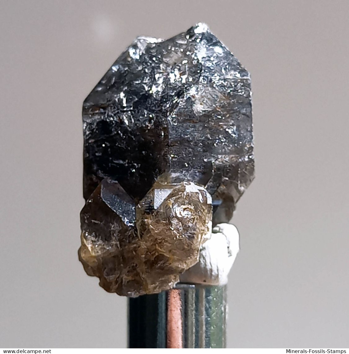 #T24 - Ungewöhnliche RAUCHQUARZ Kristalle (Victoria, Australien) - Mineralien