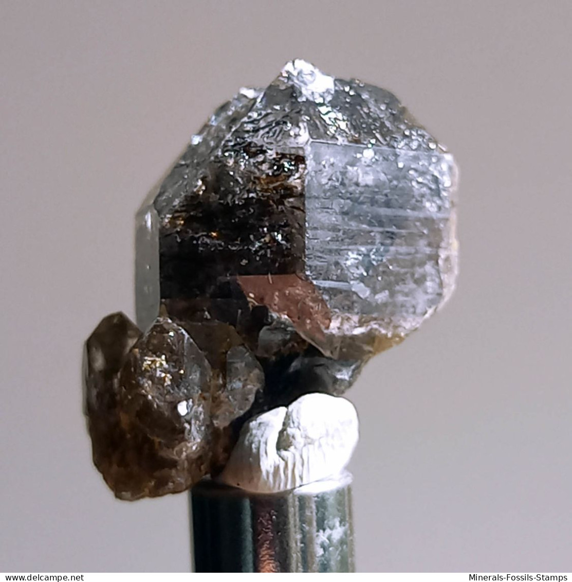 #T24 - Ungewöhnliche RAUCHQUARZ Kristalle (Victoria, Australien) - Minerales