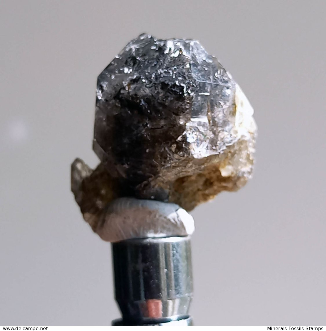 #T24 - Ungewöhnliche RAUCHQUARZ Kristalle (Victoria, Australien) - Minerales