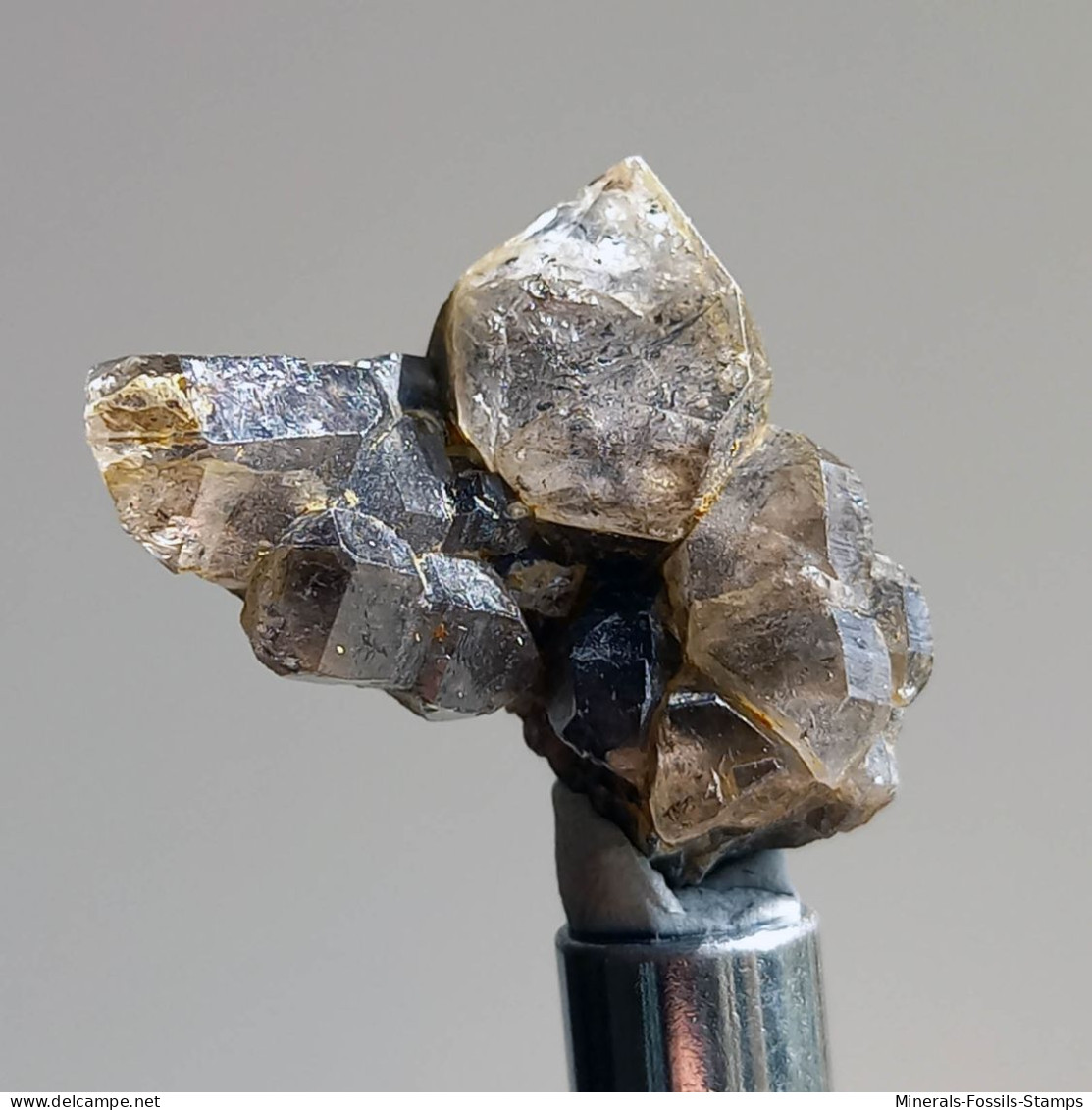 #T25 - Ungewöhnliche RAUCHQUARZ Kristalle (Victoria, Australien) - Minerals