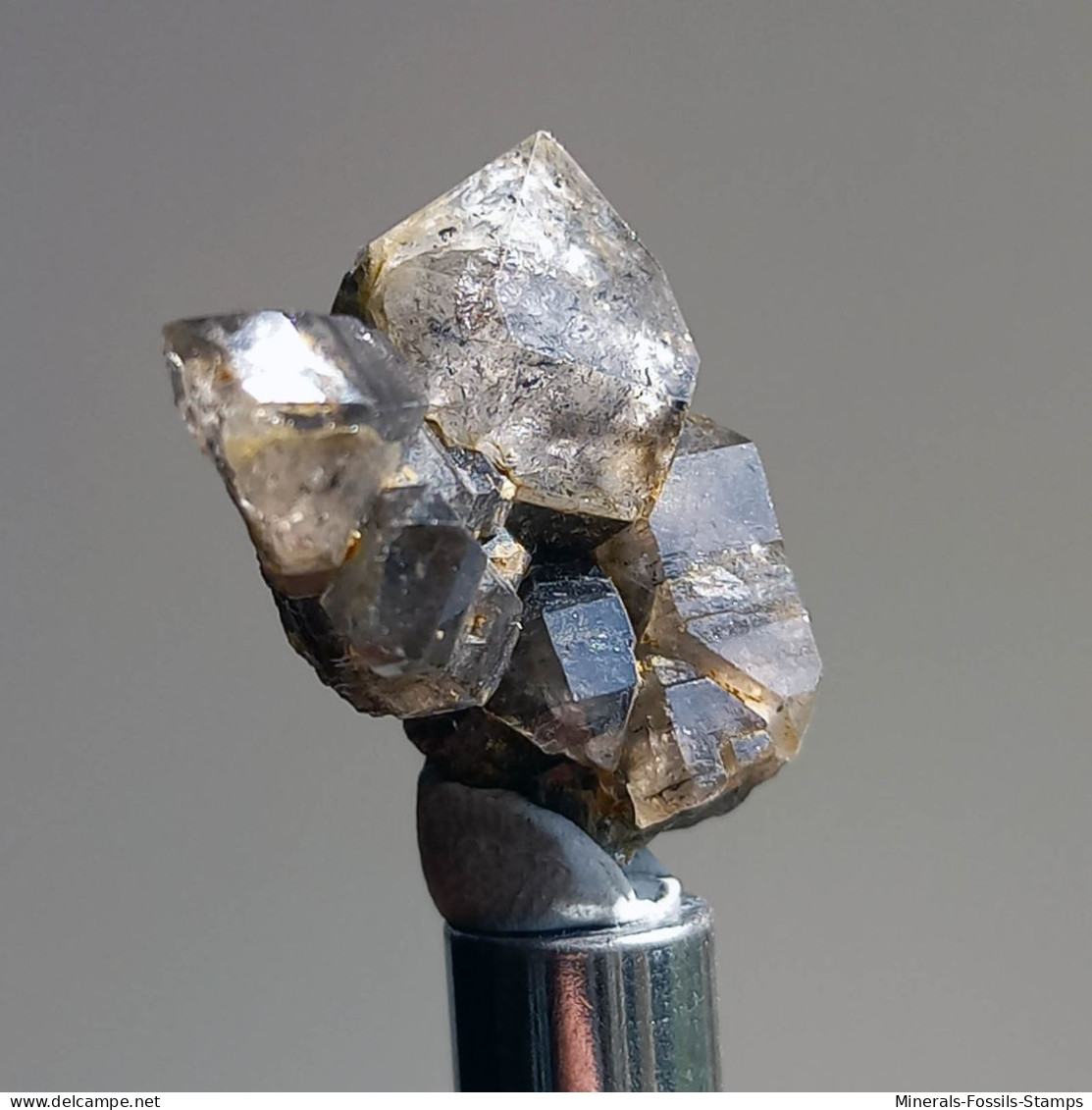 #T25 - Ungewöhnliche RAUCHQUARZ Kristalle (Victoria, Australien) - Minerals