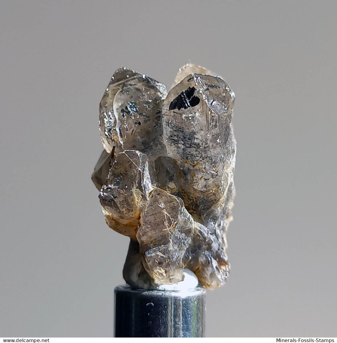 #T25 - Ungewöhnliche RAUCHQUARZ kristalle (Victoria, Australien)