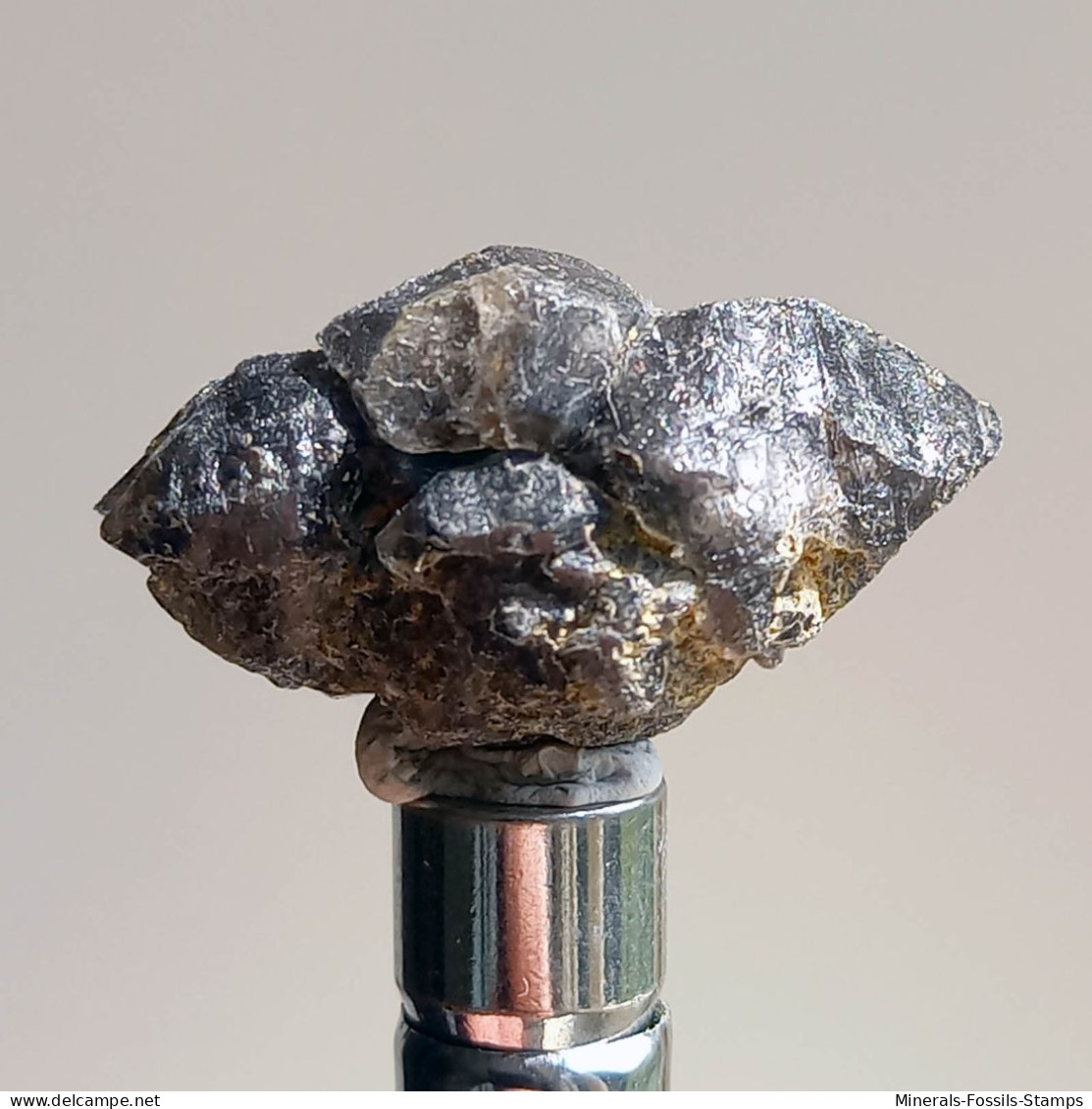 #T26 - Ungewöhnliche RAUCHQUARZ Kristalle (Victoria, Australien) - Minerales