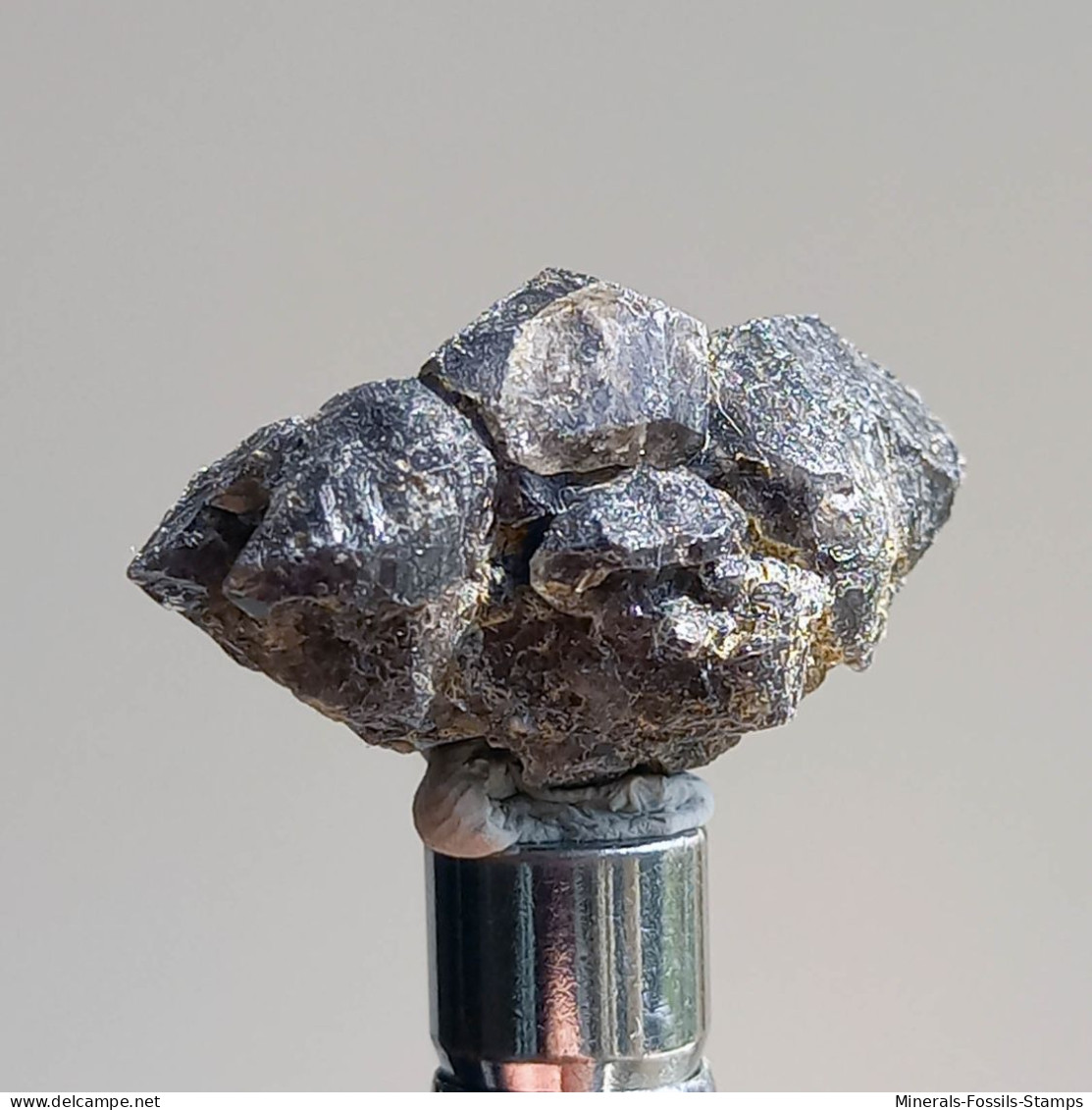 #T26 - Ungewöhnliche RAUCHQUARZ Kristalle (Victoria, Australien) - Minerals