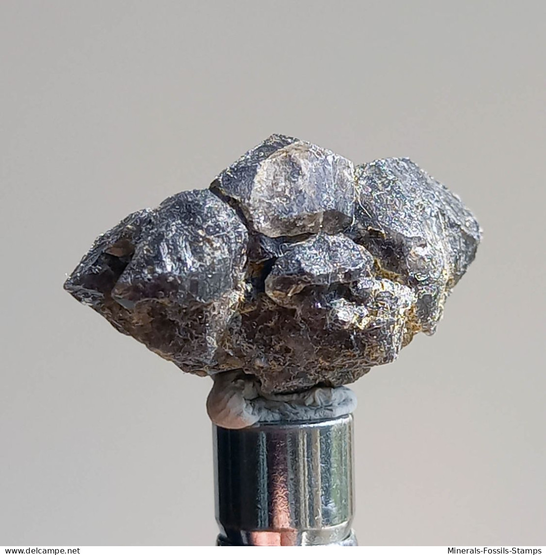 #T26 - Ungewöhnliche RAUCHQUARZ Kristalle (Victoria, Australien) - Minerales