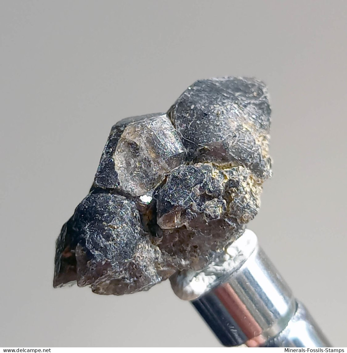 #T26 - Ungewöhnliche RAUCHQUARZ Kristalle (Victoria, Australien) - Minerali