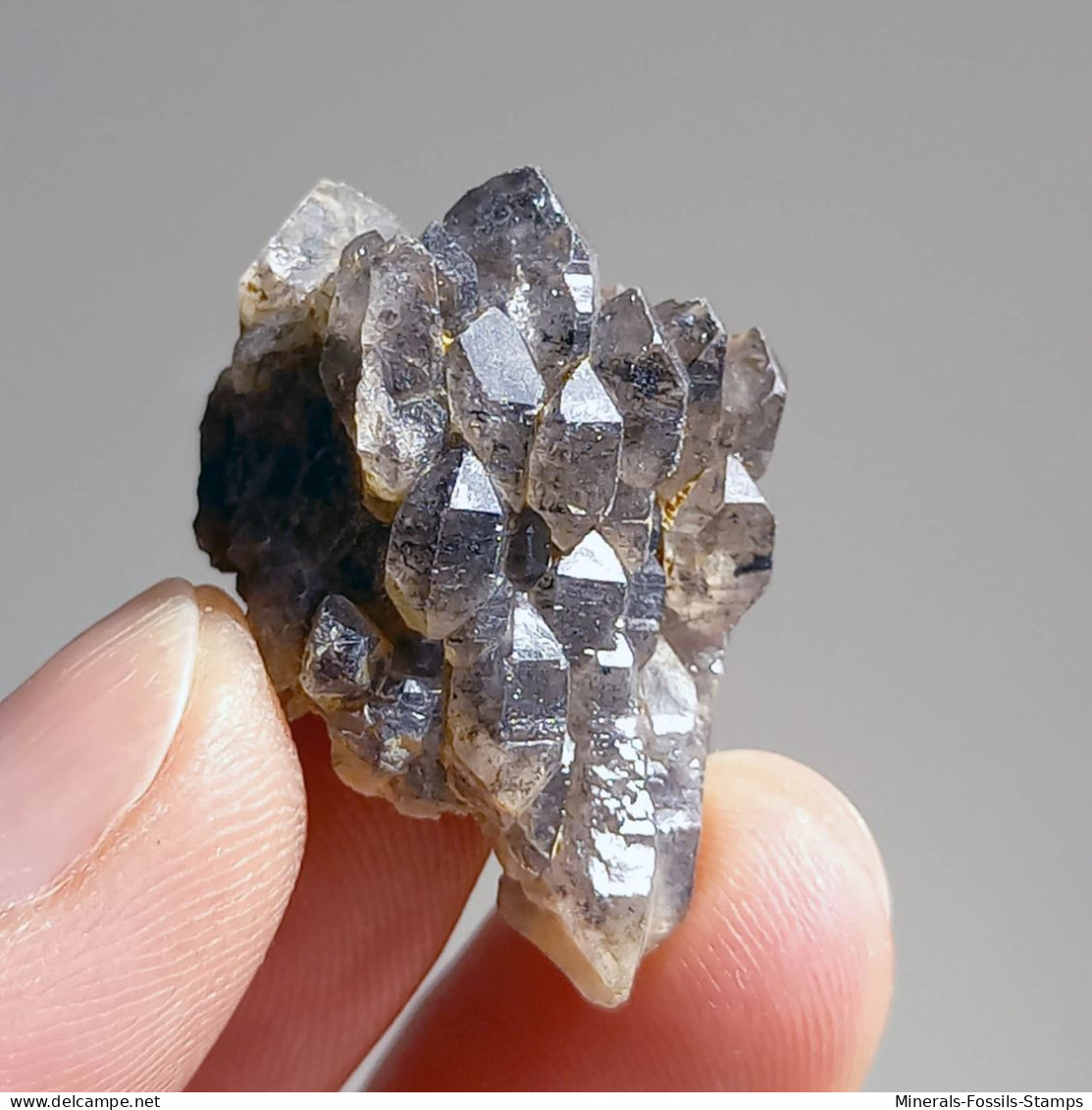 #T28 - Ungewöhnliche RAUCHQUARZ Kristalle (Victoria, Australien) - Minerales