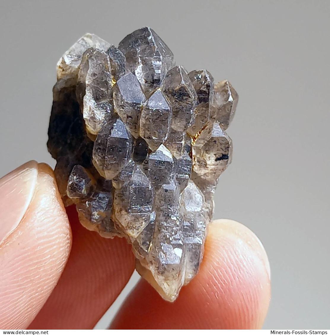 #T28 - Ungewöhnliche RAUCHQUARZ Kristalle (Victoria, Australien) - Mineralien