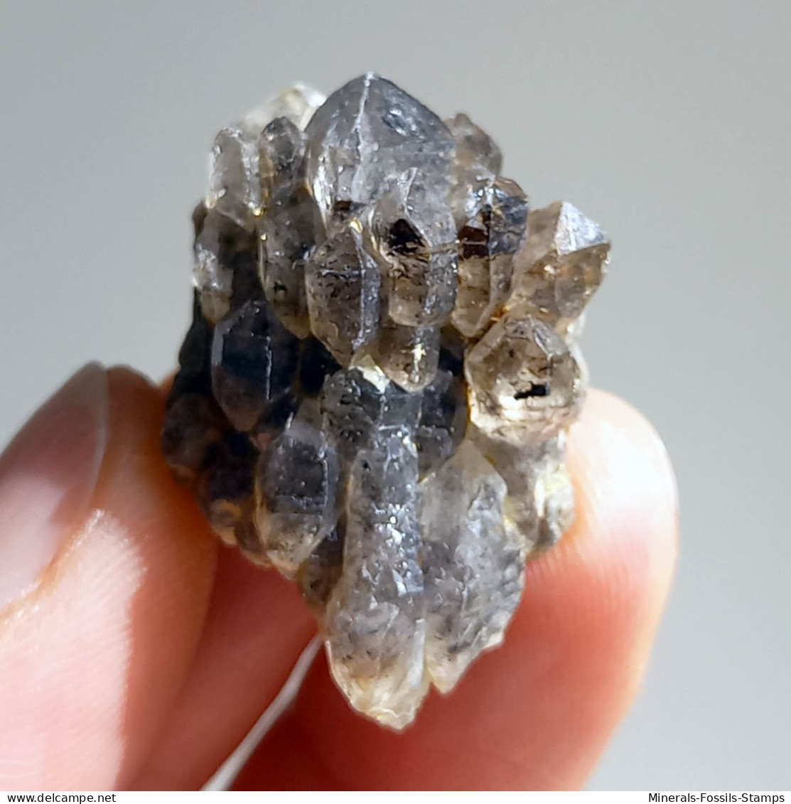 #T28 - Ungewöhnliche RAUCHQUARZ Kristalle (Victoria, Australien) - Mineralien