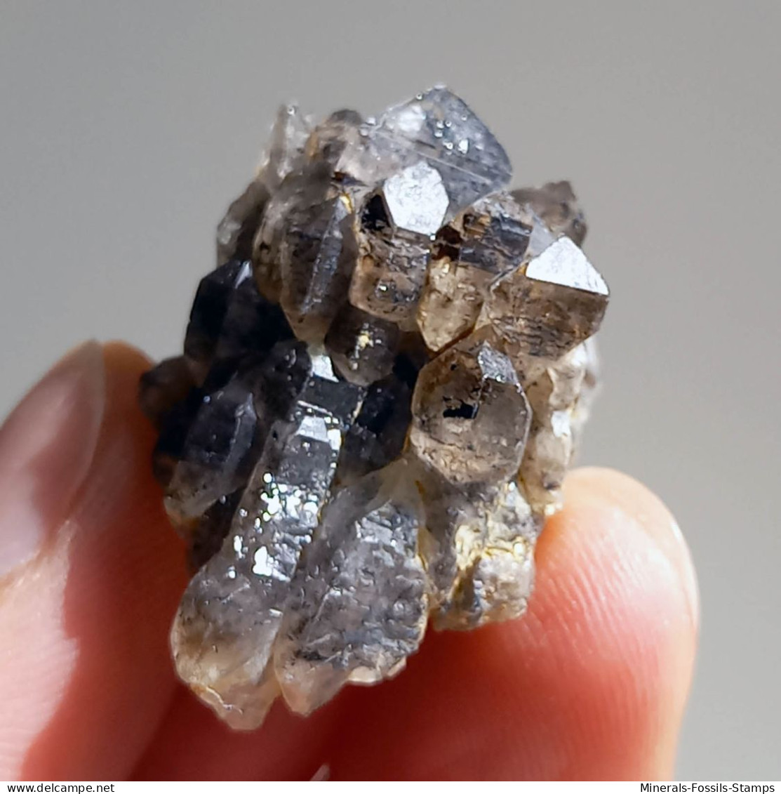 #T28 - Ungewöhnliche RAUCHQUARZ Kristalle (Victoria, Australien) - Minerals
