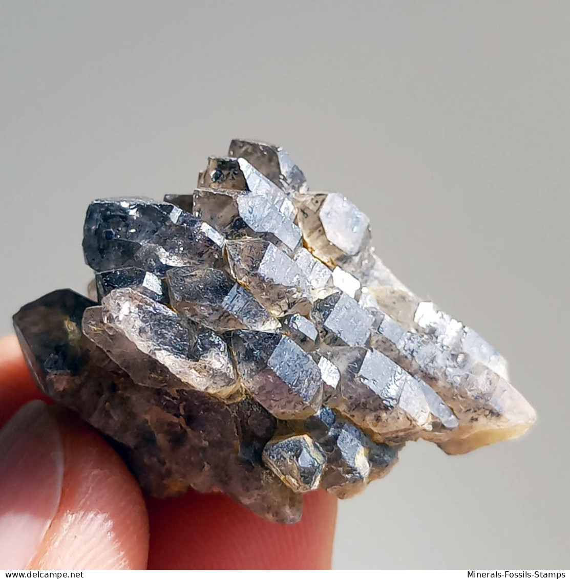 #T28 - Ungewöhnliche RAUCHQUARZ Kristalle (Victoria, Australien) - Mineralen