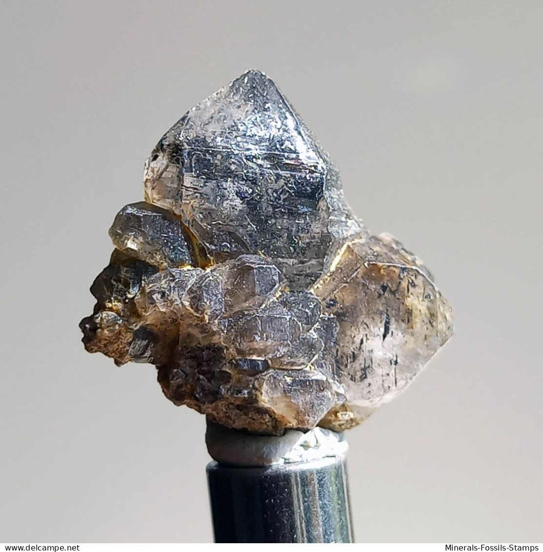 #T29 - Ungewöhnliche RAUCHQUARZ Kristalle (Victoria, Australien) - Minerals