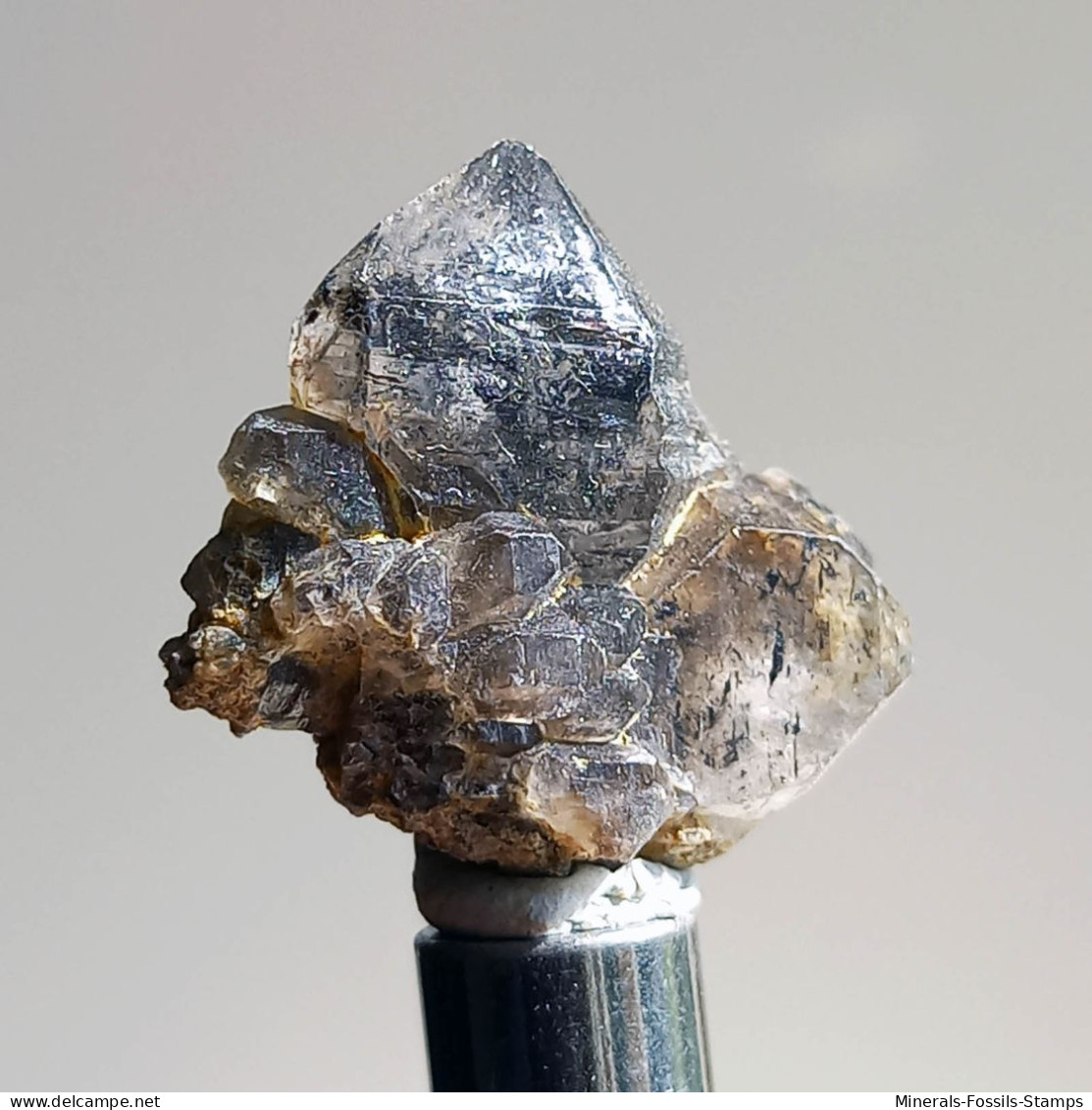 #T29 - Ungewöhnliche RAUCHQUARZ Kristalle (Victoria, Australien) - Mineralien