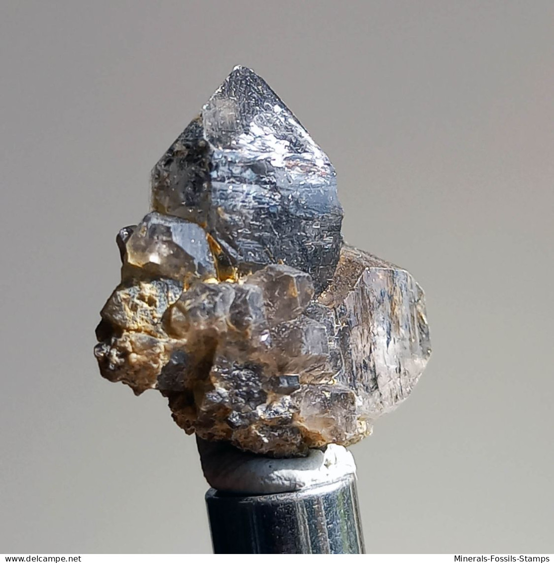 #T29 - Ungewöhnliche RAUCHQUARZ Kristalle (Victoria, Australien) - Mineralien