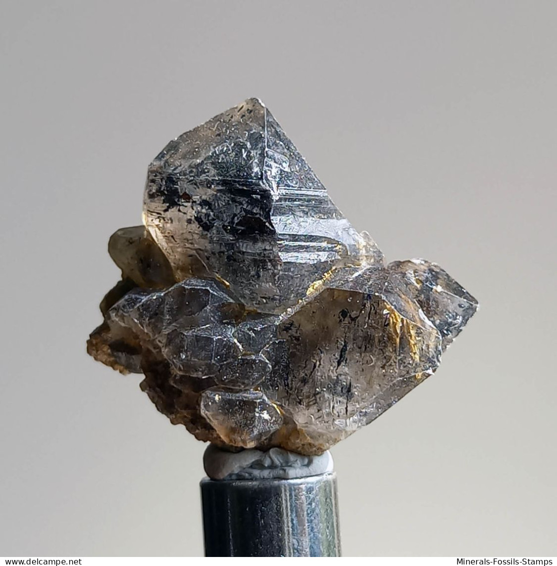 #T29 - Ungewöhnliche RAUCHQUARZ Kristalle (Victoria, Australien) - Minerales