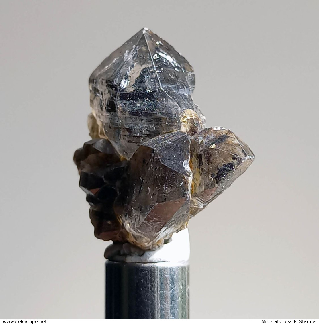 #T29 - Ungewöhnliche RAUCHQUARZ Kristalle (Victoria, Australien) - Minerals