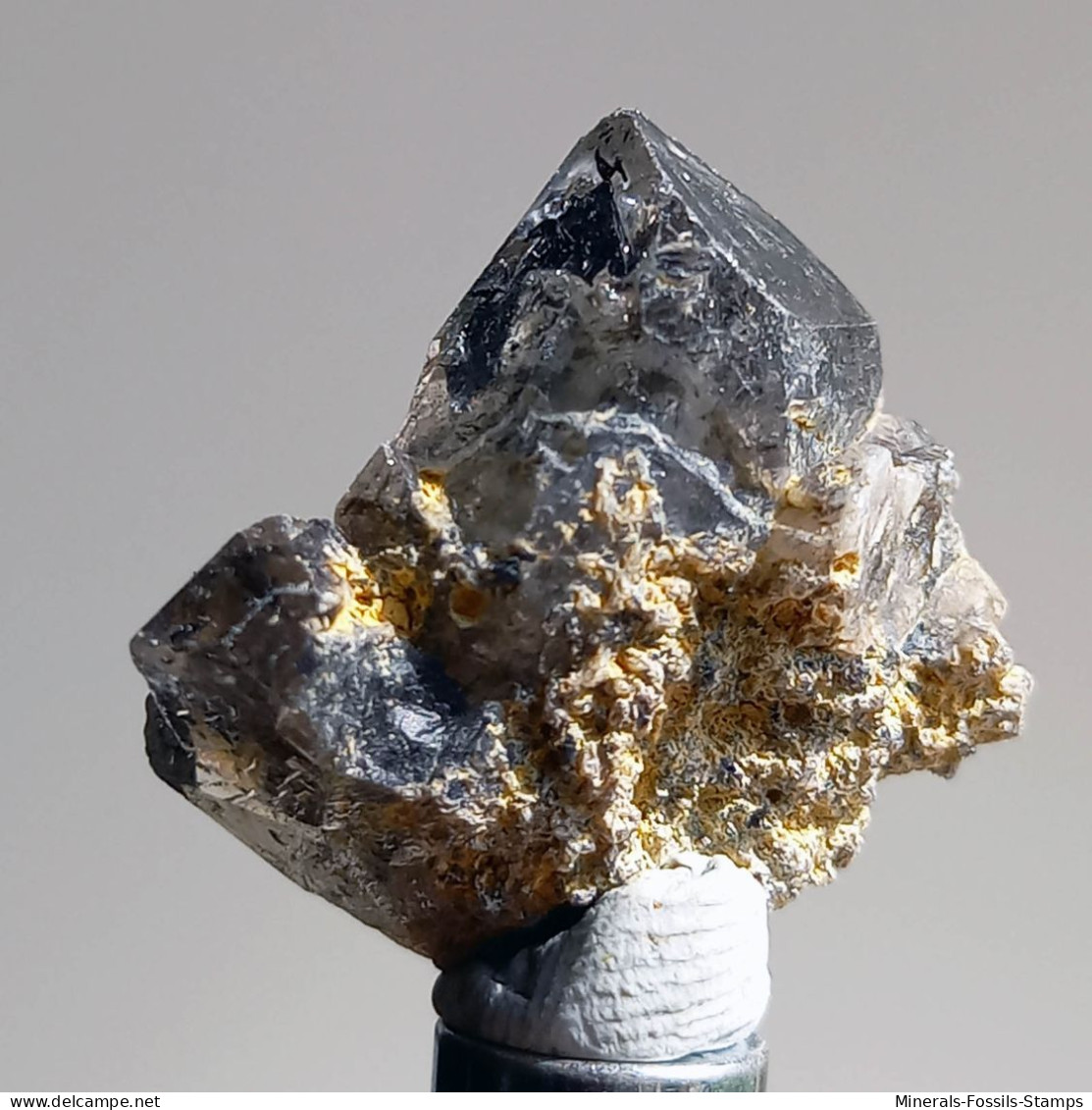 #T29 - Ungewöhnliche RAUCHQUARZ Kristalle (Victoria, Australien) - Mineralien