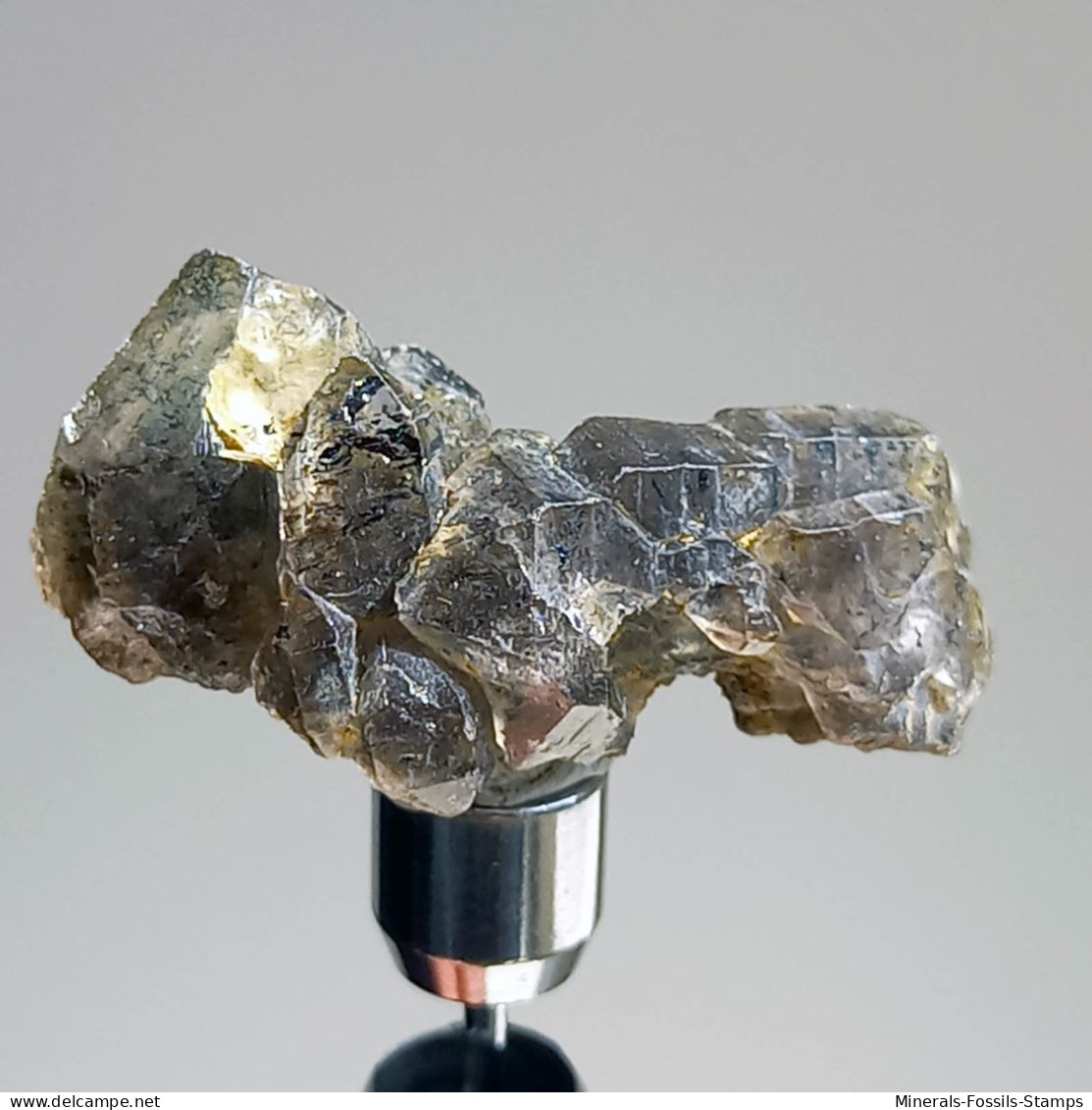 #T30 - Ungewöhnliche RAUCHQUARZ Kristalle (Victoria, Australien) - Mineralien