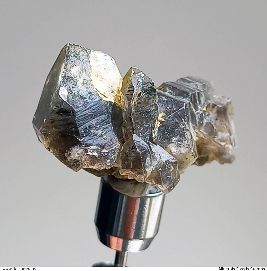 #T30 - Ungewöhnliche RAUCHQUARZ Kristalle (Victoria, Australien) - Minerales