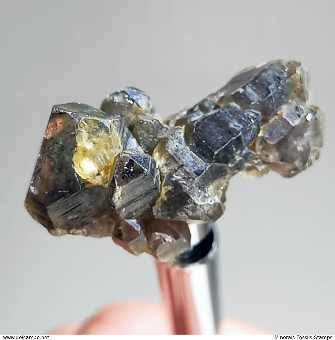 #T30 - Ungewöhnliche RAUCHQUARZ Kristalle (Victoria, Australien) - Mineralien