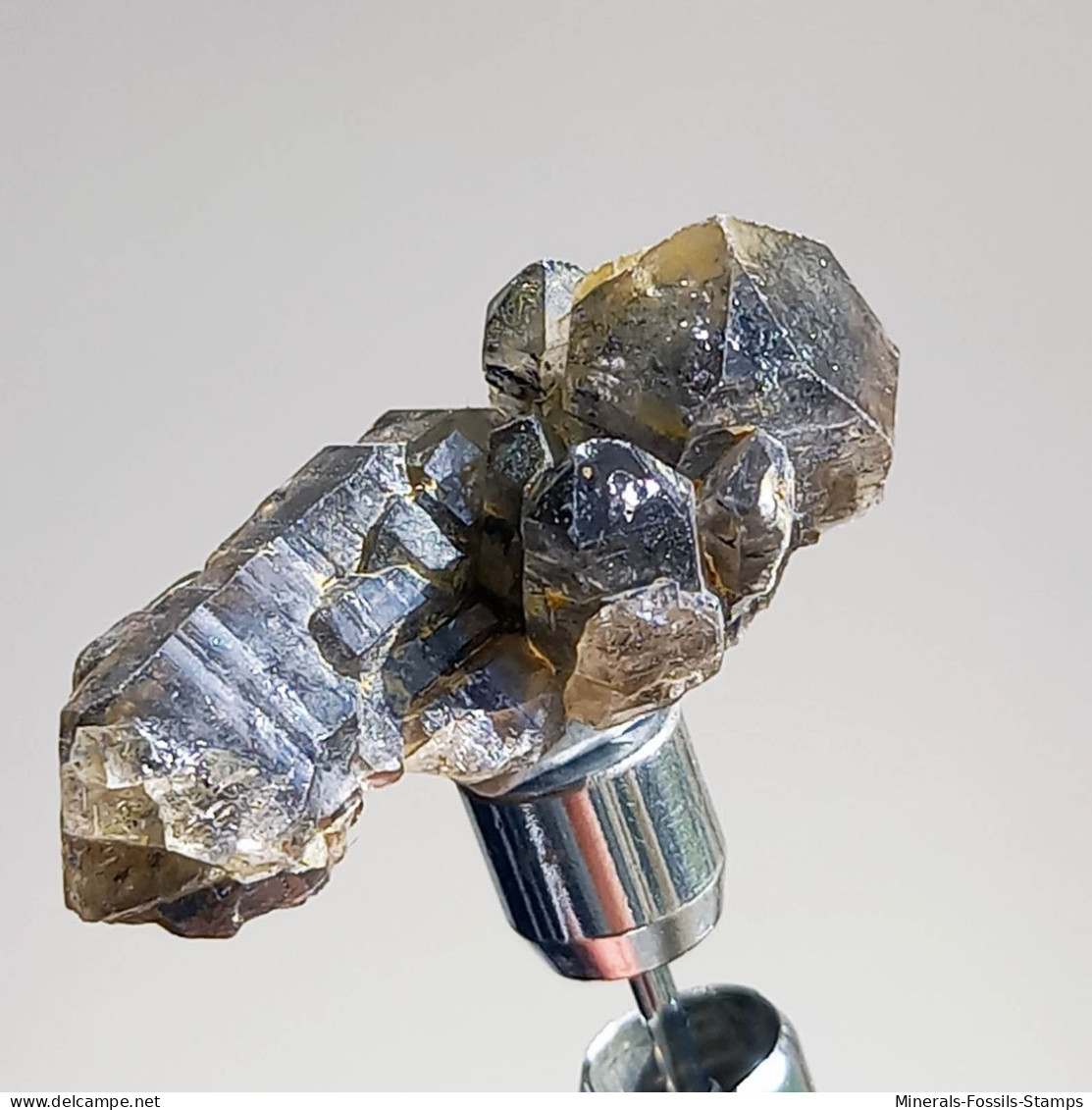 #T30 - Ungewöhnliche RAUCHQUARZ Kristalle (Victoria, Australien) - Minerali