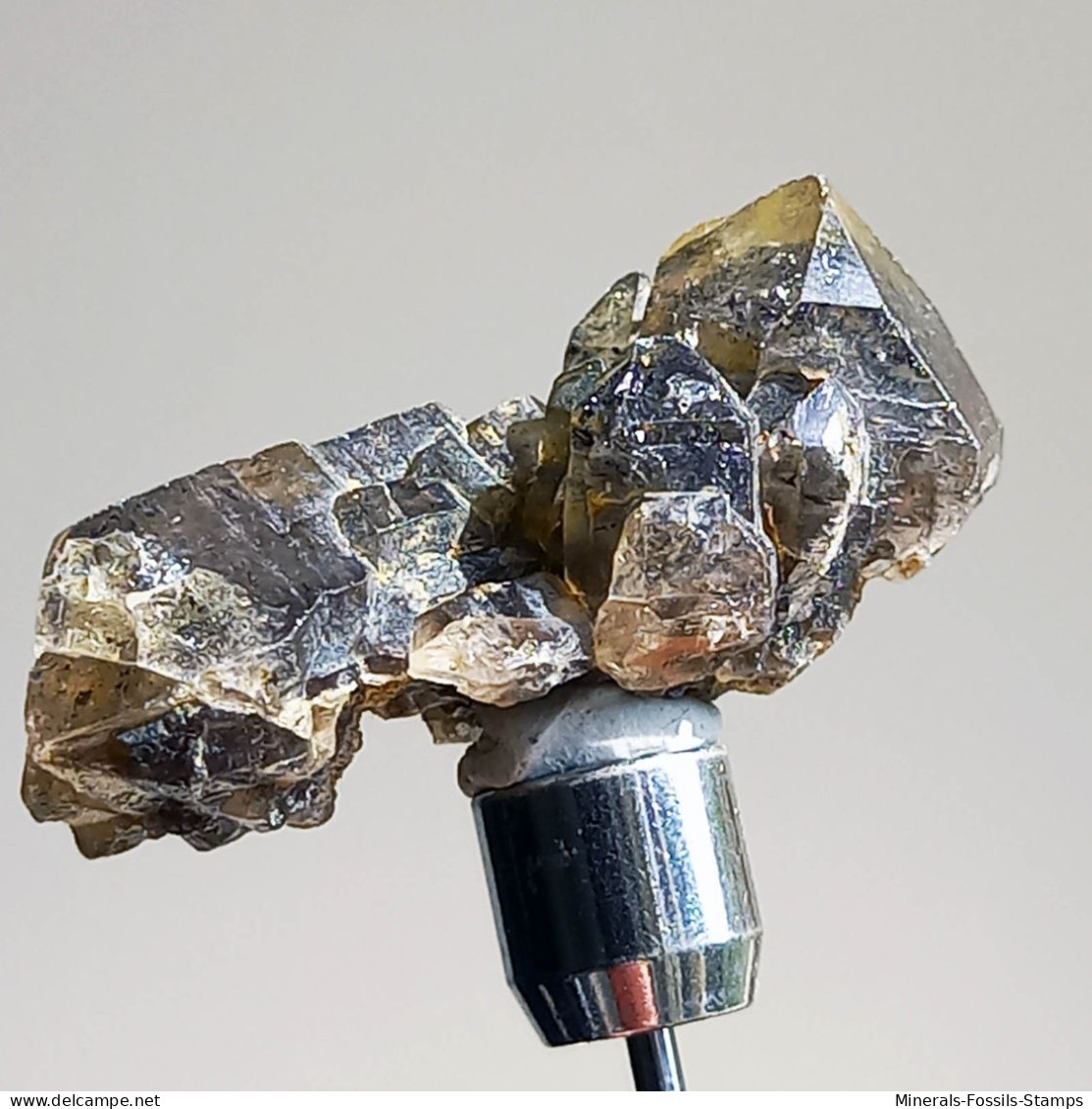 #T30 - Ungewöhnliche RAUCHQUARZ Kristalle (Victoria, Australien) - Minéraux
