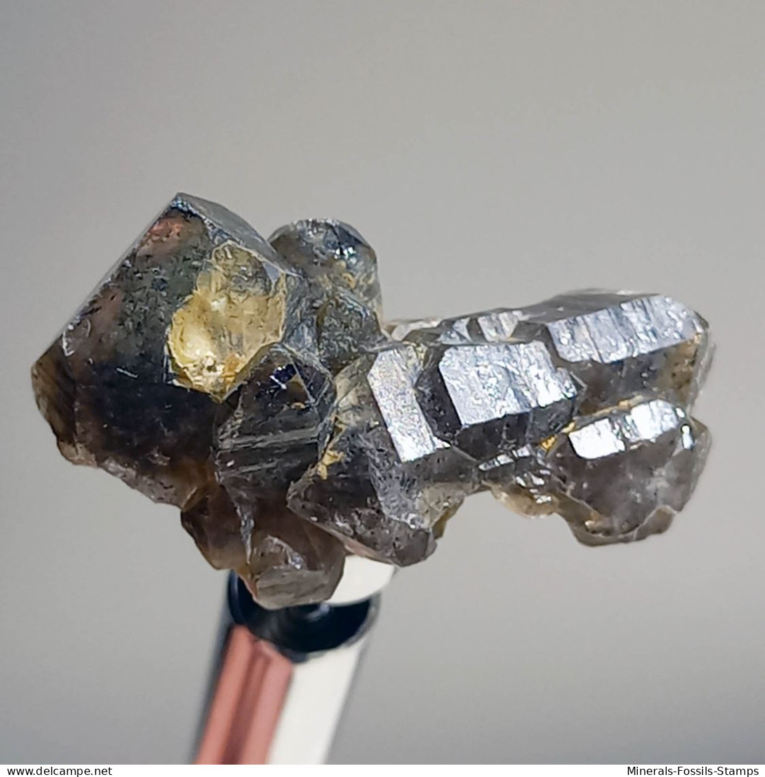 #T30 - Ungewöhnliche RAUCHQUARZ Kristalle (Victoria, Australien) - Mineralien