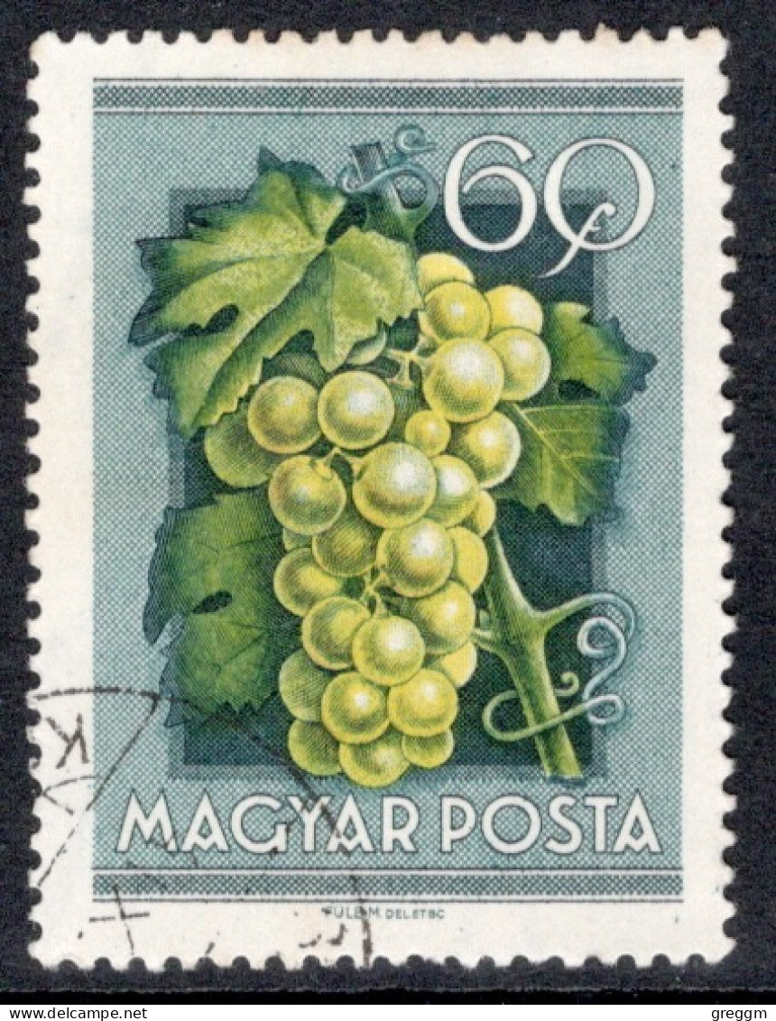 Hungary 1954 Single Stamp Celebrating National Agricultural Fair In Fine Used - Oblitérés