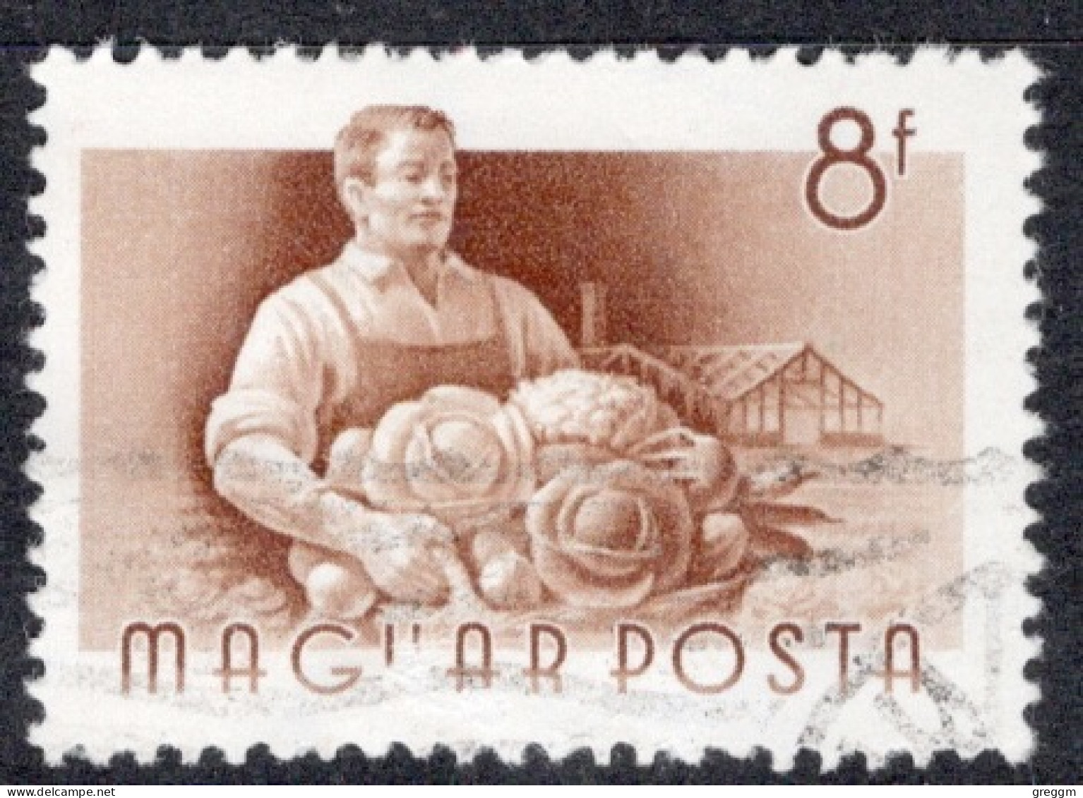 Hungary 1955 Single Stamp Celebrating Occupations In Fine Used - Gebraucht