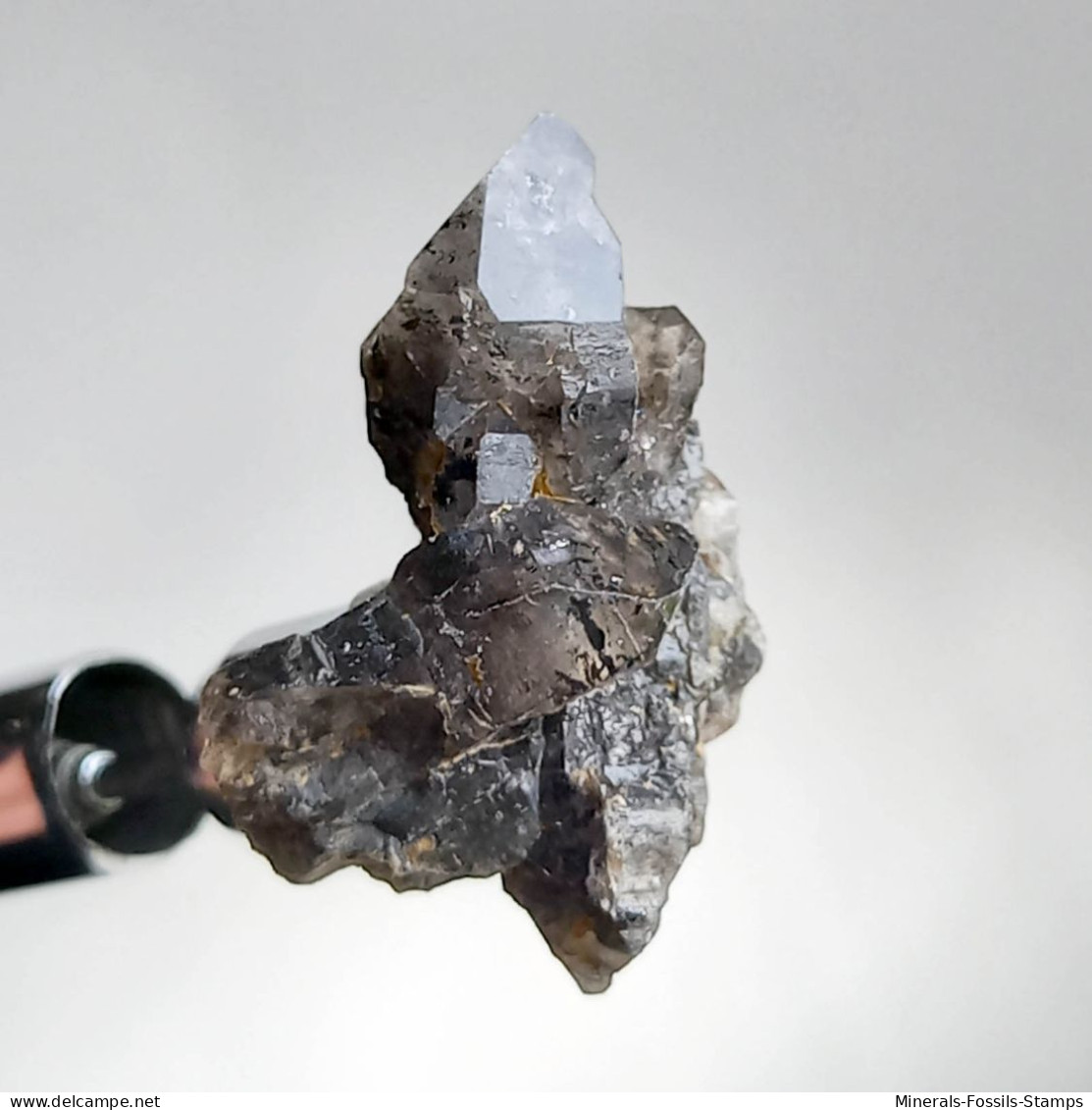 #T31 - Ungewöhnliche RAUCHQUARZ Kristalle (Victoria, Australien) - Mineralien