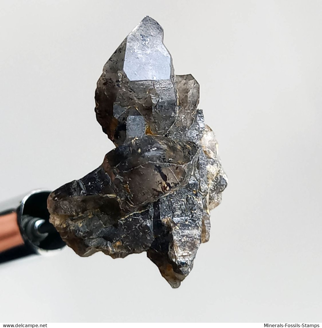 #T31 - Ungewöhnliche RAUCHQUARZ Kristalle (Victoria, Australien) - Mineralien