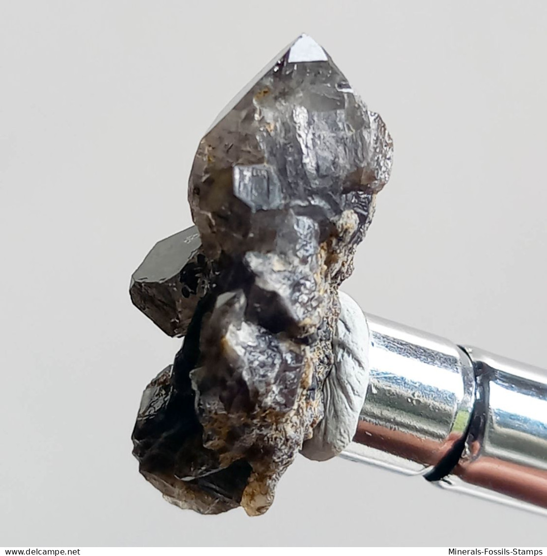 #T31 - Ungewöhnliche RAUCHQUARZ Kristalle (Victoria, Australien) - Minerali