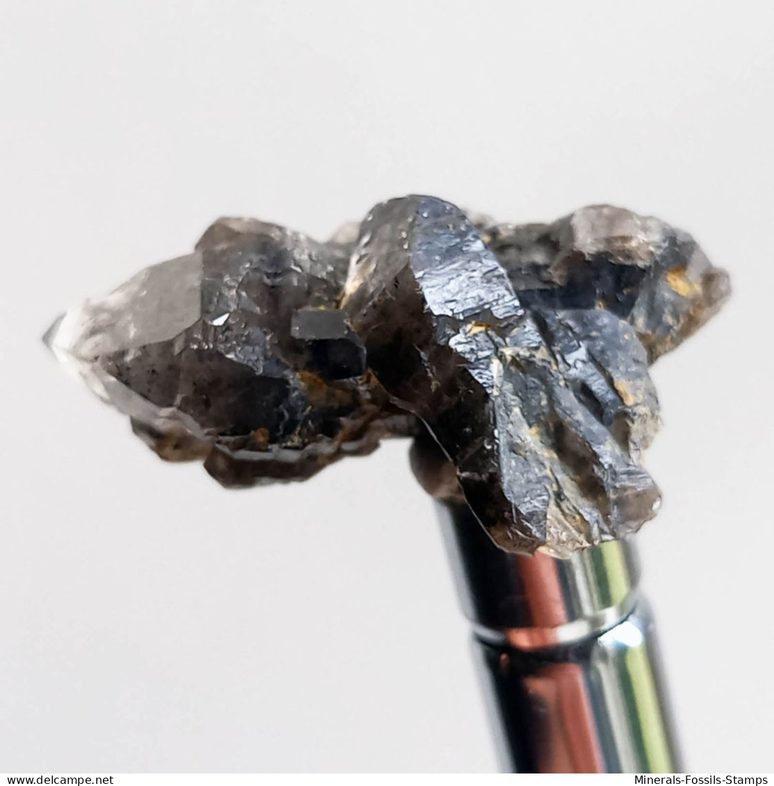 #T31 - Ungewöhnliche RAUCHQUARZ Kristalle (Victoria, Australien) - Mineralen