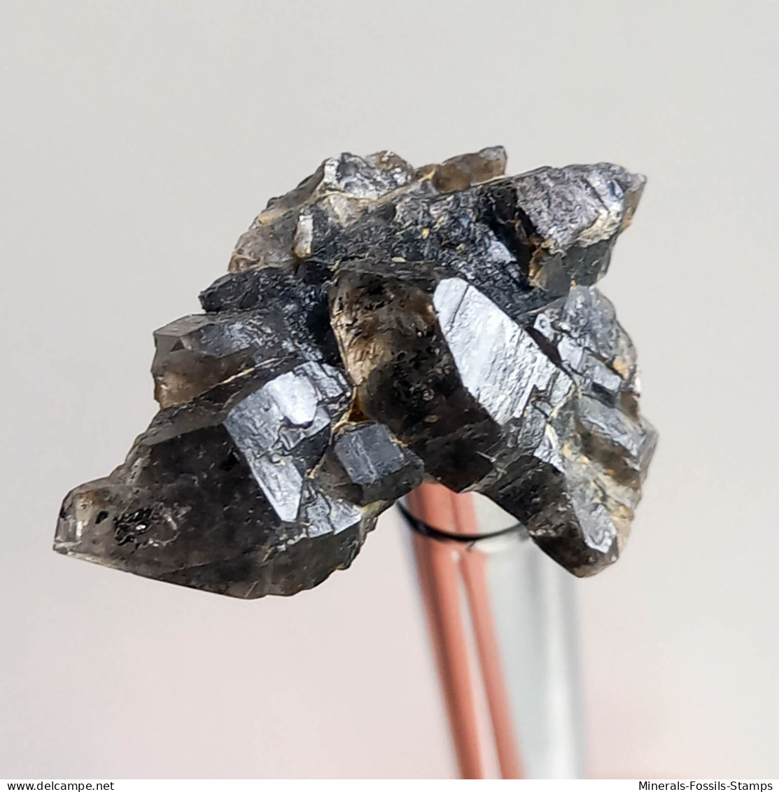 #T31 - Ungewöhnliche RAUCHQUARZ Kristalle (Victoria, Australien) - Minéraux